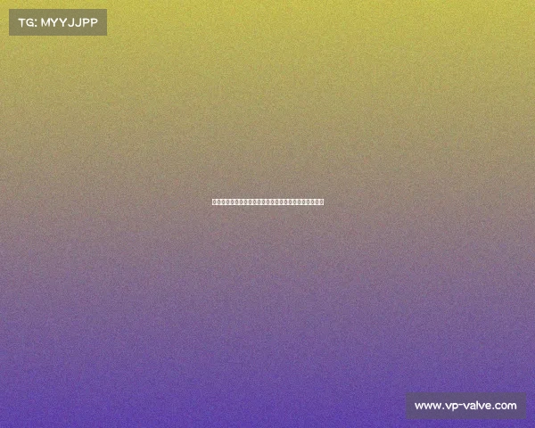 体育赛事接待创新升级全方位服务提升赛事体验共创辉煌